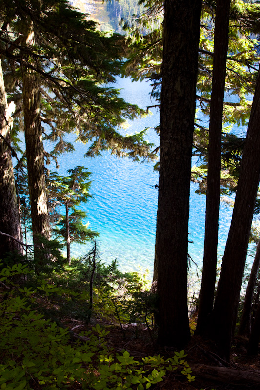 Mowich Lake Through Trees